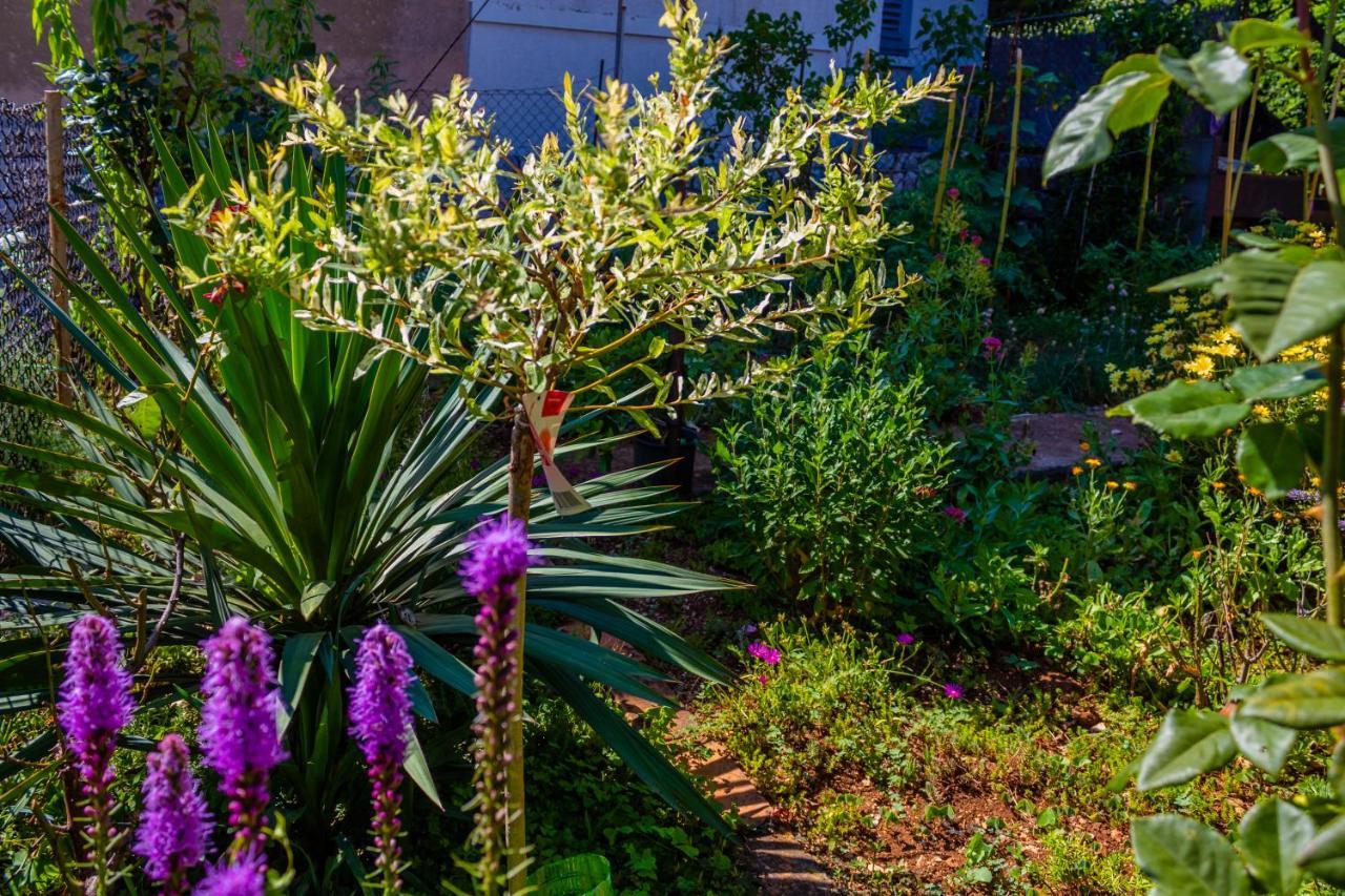 Little Garden House Villa Rijeka Exterior foto